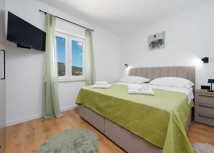 Chivas Zadarvillas Donje Rastane